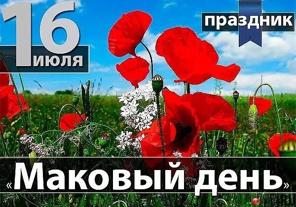 Праздничные дни в мак. 16 Июля праздник. Маков день. Маковый день 16 июля. 16 Июля календарь.