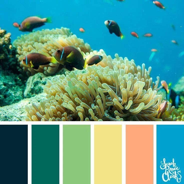 Какие цвета сочетаются с морским. Цветовая гамма море. Морское сочетание цветов. Морская цветовая палитра. Цветовые сочетания море.