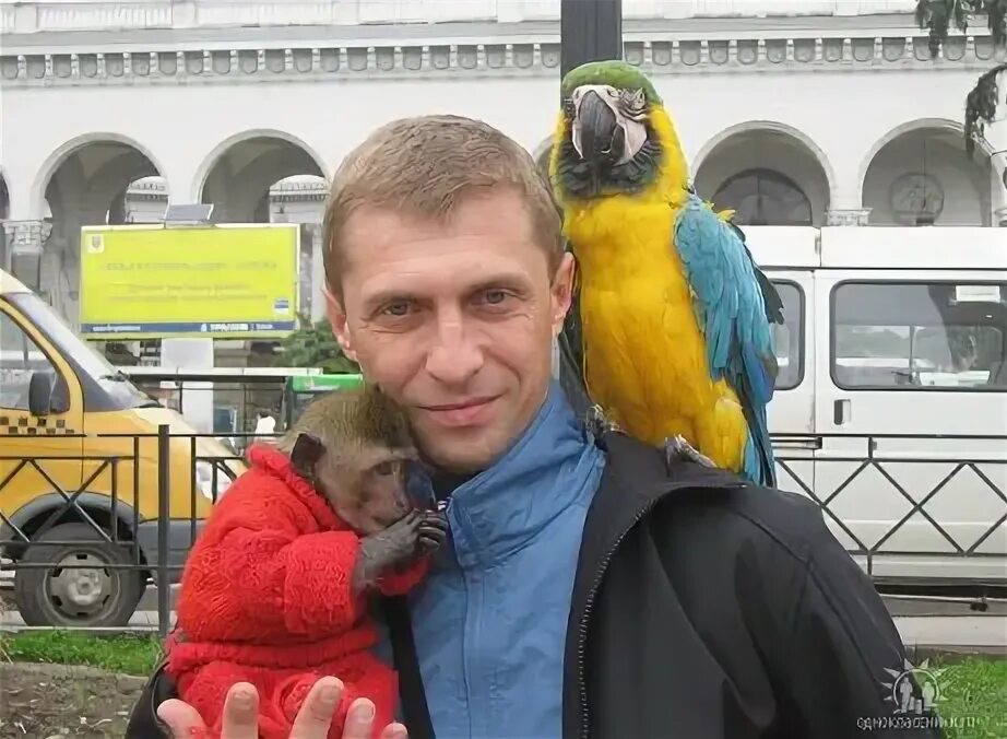 Махонин одноклассники