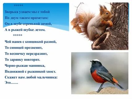 Узнаю тебя рыжая по шубке
