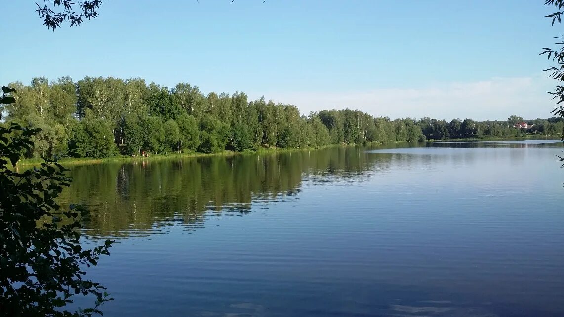 Рузское озеро. Липитино пруд. Озеро Липитино Озёрский район. Поварово водоемы. Истринские водоемы