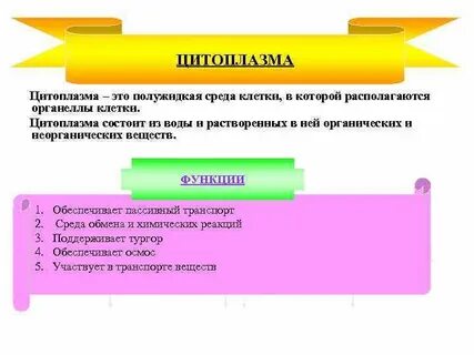 Внутренняя полужидкая среда клетки