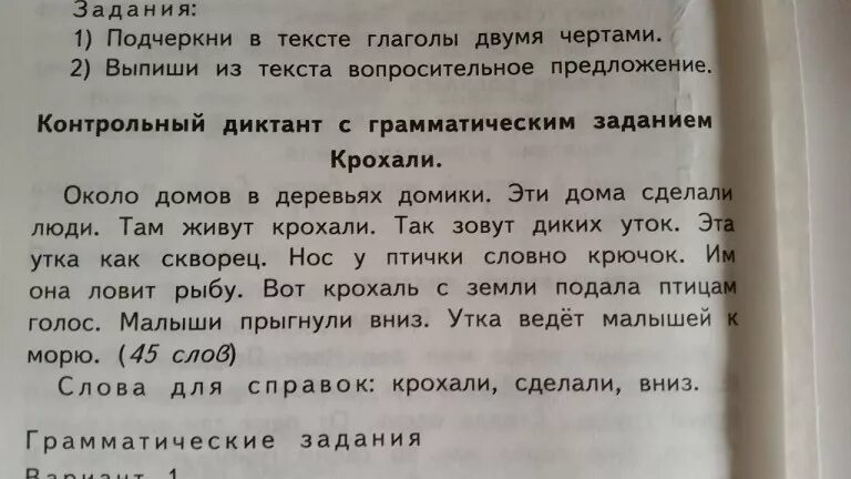 Диктант 2 класс безударная гласная в корне. Диктант 2 класс. Диктант с заданиями. Задание выпиши из текста.
