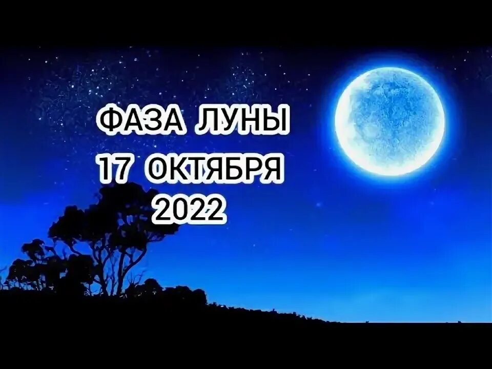 Фаза 2025. Фаза 2025