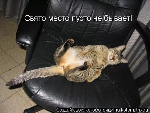 Свято место пусто не бывает значение. Свято место пусто бывает. свято место не бывает. свято место пусто не бывает картинки. поговорка свято место пусто не бывает.