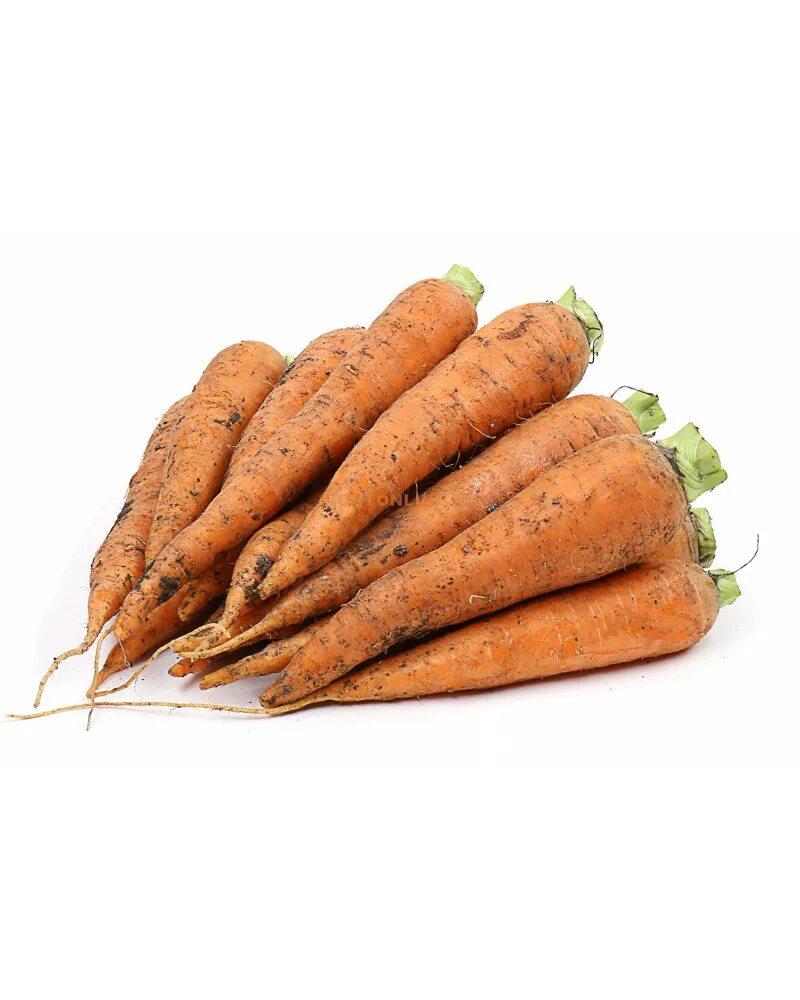 10 килограмм моркови. Морковь. Морковь молодая. Морковь Отечественная. Морковь 1кг.