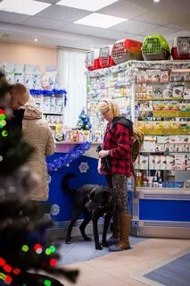 Дарвин ветклиника ульяновск верхняя