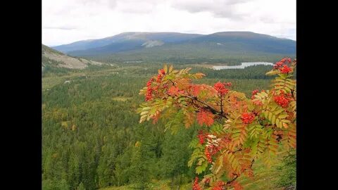 Уральская рябинушка