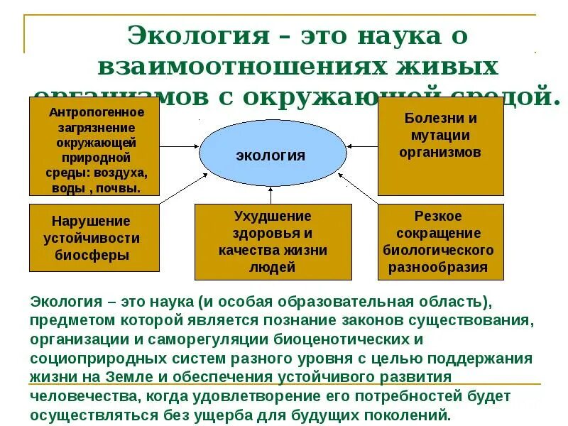 Фармакология. Взаимосвязь образования и общества. Что изучает экология. Наука о взаимодействии называется. Экология наука изучающая взаимоотношения.