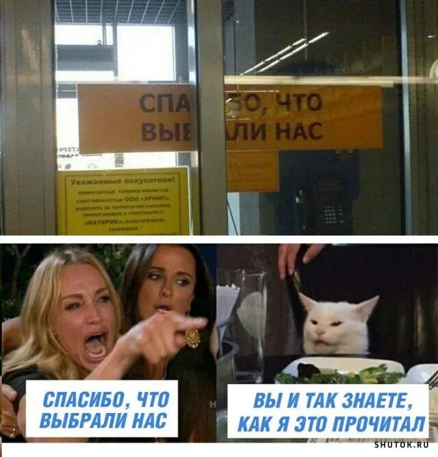 Мем с белым котом и двумя девушками Create meme "cat meme , memes with cats , two girls meme" Pictures Meme-arse