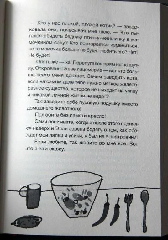 Дневник кота рассказ. Энн файн дневник кота-убийцы. дневник кота книга. книга дневник кота убийцы. рассказ дневник кота.