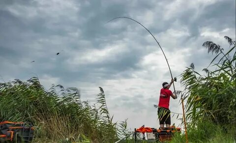Fed fishing
