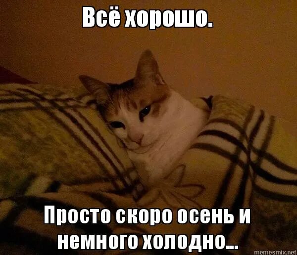 иногда хочется просто. хорошо когда хорошо цитаты. лучше скорее легче. забыть плохое значит впустить хорошее. не бывает женщин изменивших однажды.