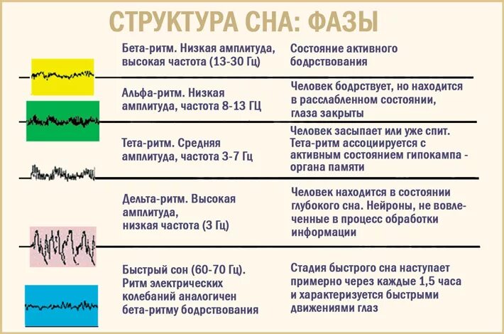 Фазы сна время таблица. 4 Стадии медленной фазы сна. Фазовая структура сна. Две фазы сна и характеристика. Фазы быстрого и медленного сна таблица.