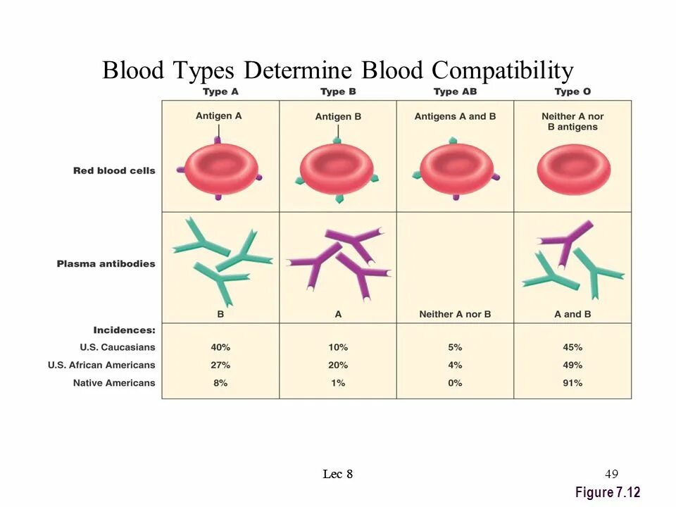 Blood type chart. Антигены микробиология. 4 blood type. 4 blood type. Type a кровь.