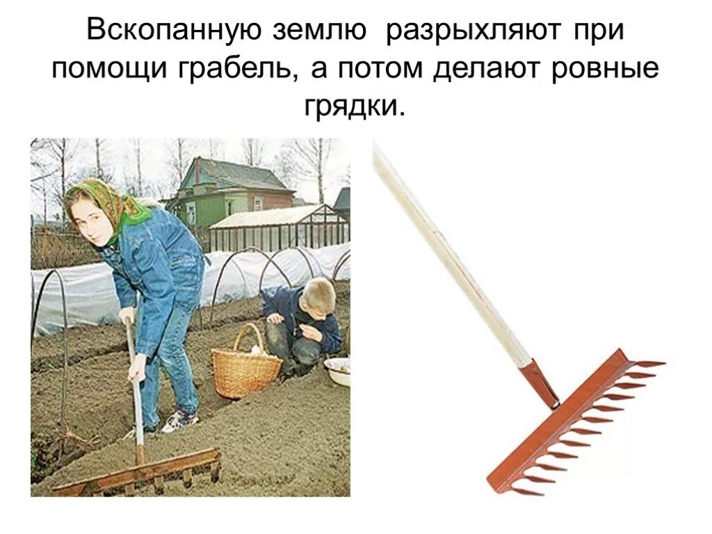 Уборка урожая детский сад. Весенний огород. Лето огород. Перечислить работу в огороде. Труд людей весной.
