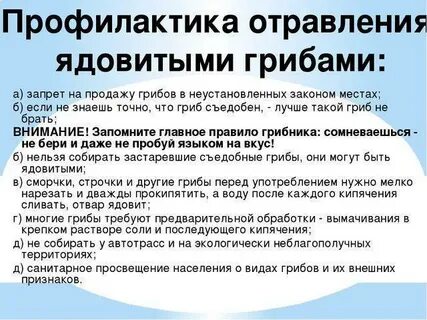Симптомы отравления ядовитыми грибами