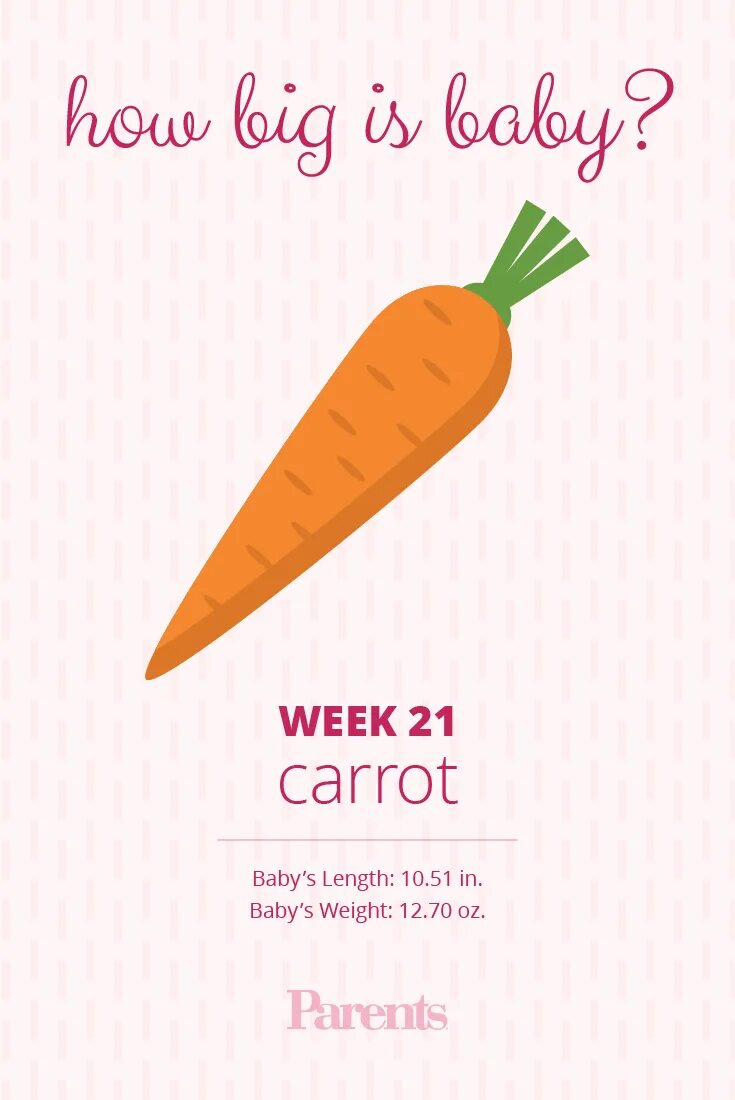 Next week my parents. Морковь на белом фоне мультяшная. Морковка мультяшная. Морковь мультяшный на прозрачном фоне.