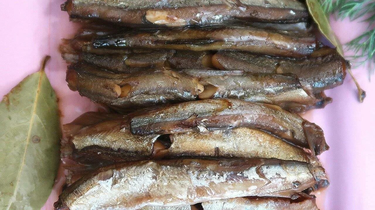 Как делают шпроты. Шпроты из мойвы. домашние шпроты из мойвы. шпроты из мойвы консервы. шпроты из салаки.
