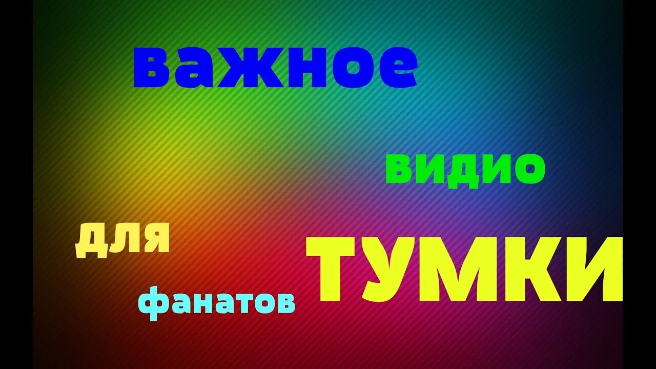 Тумка 1000 дней. Тумка. Тумка 100. Тумка логотип. Картинки ТУМКИ В реальной жизни.