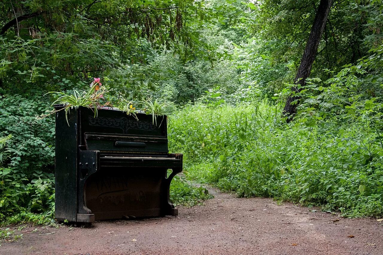 Пианино в лесу. Фортепиано на природе. Рояль в лесу. Фотосессия у пианино в лесу.