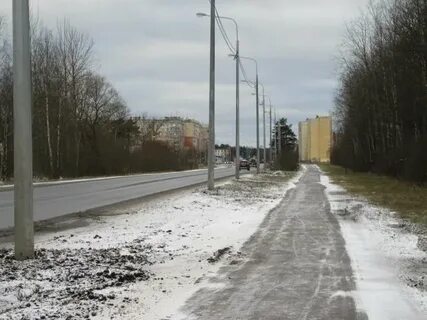 Федюнинского ломоносов