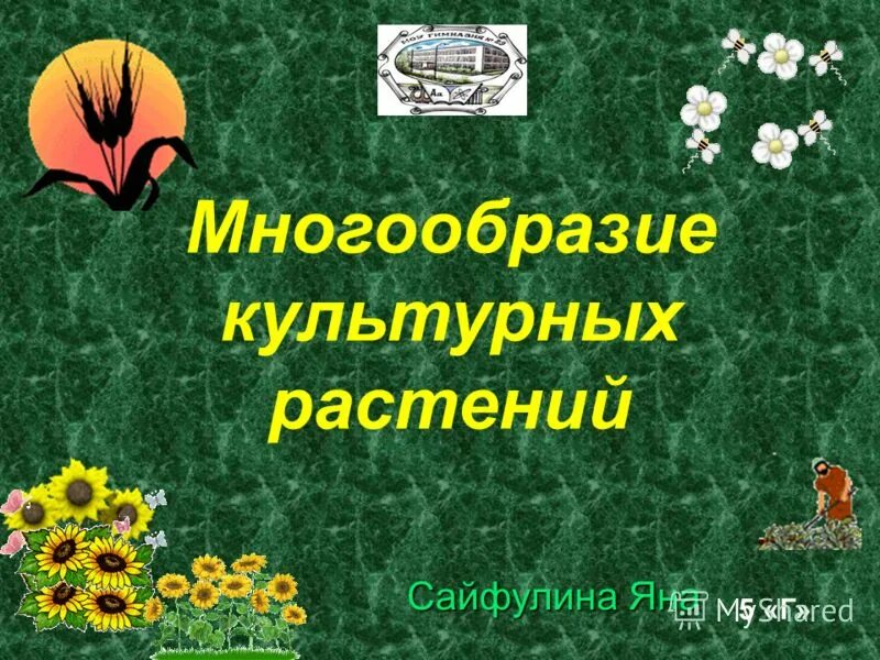 Книги о культурных растениях. Книги о культурных растениях Автор и название. Популярные книги о культурных растениях. Книги о культурных растениях 3 класс названия книг.