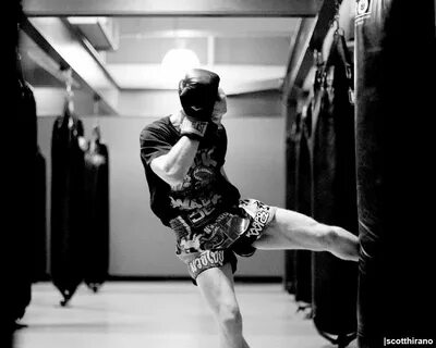 Untitled boxing style