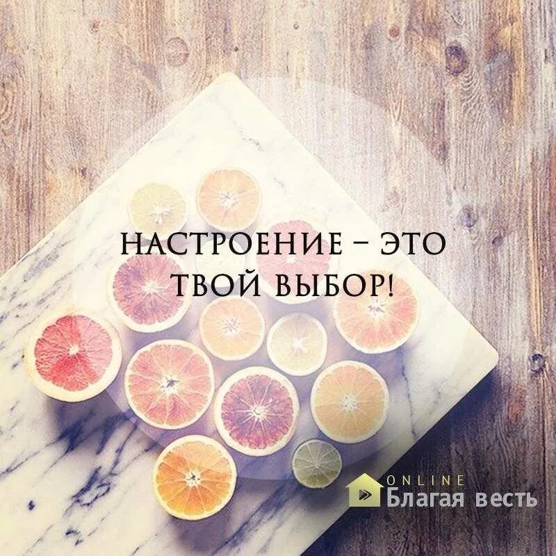 Мы сами создаем себе настроение. Настроение. настроение дня цитаты. афоризмы по настроение. мотивация на хорошее настроение цитаты.