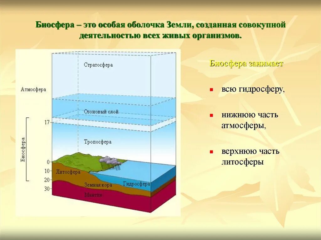 Границы биосферы 5 класс биология. Биосфера земная оболочка. Названия оболочек земли. Биосфера презентация. Наибольшее количество живых организмов сосредоточено на высоте