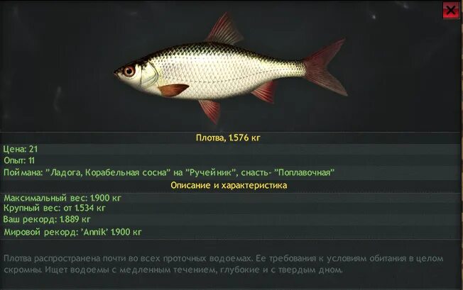 Игра рыбалка плотва. Разновидность плотвы. плотва описание. воблер плотва. плотва вес.