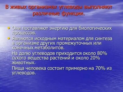 Уровень углеводов в организме