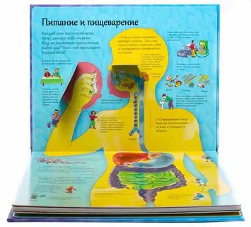 Открой тайны человека