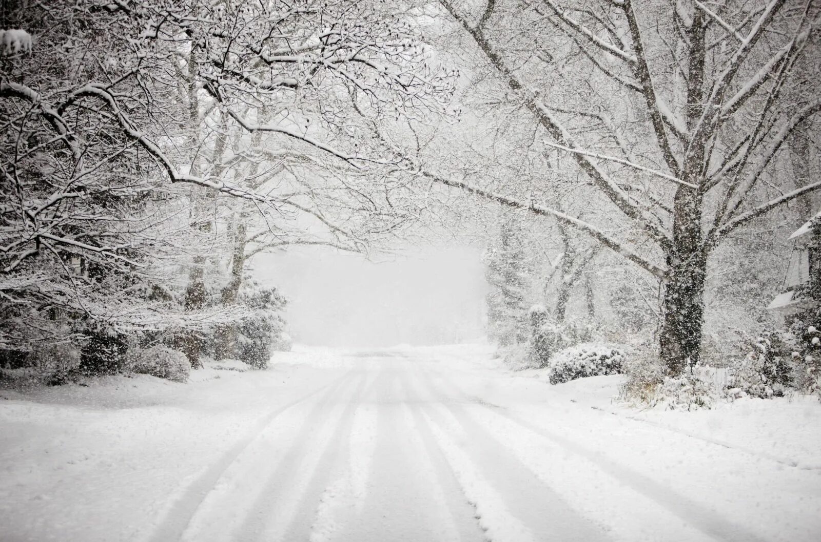 The most snowy