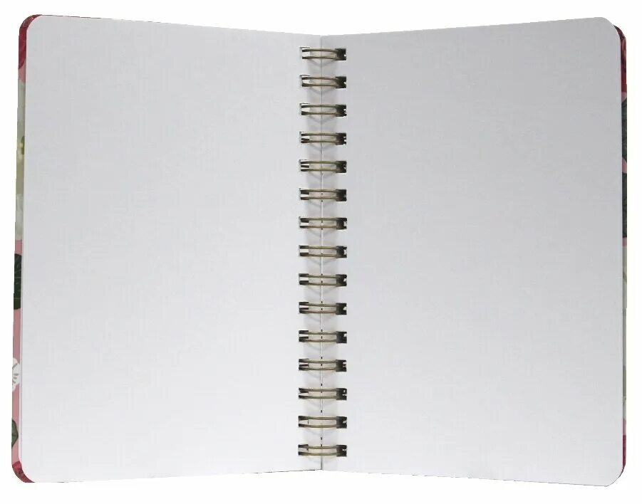 Скетчбук проф пресс а5. Скетчбук. Скетчбук леопард. Скетчбук prof press. Скетчбук 80 листов.