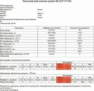 Анализ пит