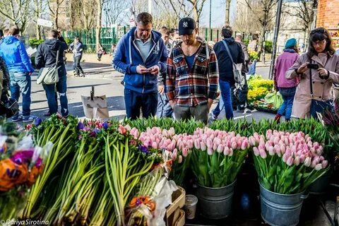 Цветочный рынок в краснодаре