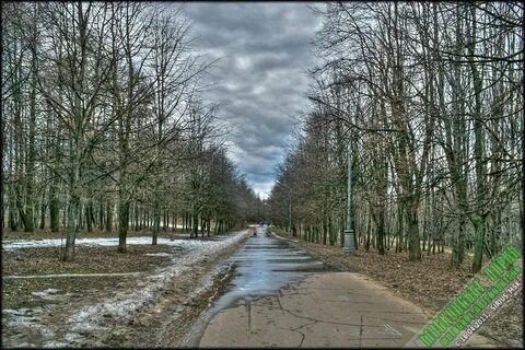 Москва аллея дорога жизни берег