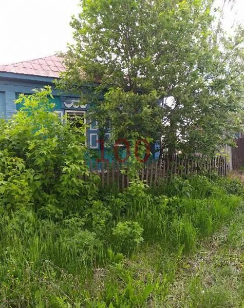 Покажи наш дом в поселке школьном. Церковь осиновка саратовская. Церковь михаила архангела. Погода осиновка романовский саратовская область. Погода осиновка романовский саратовская область.