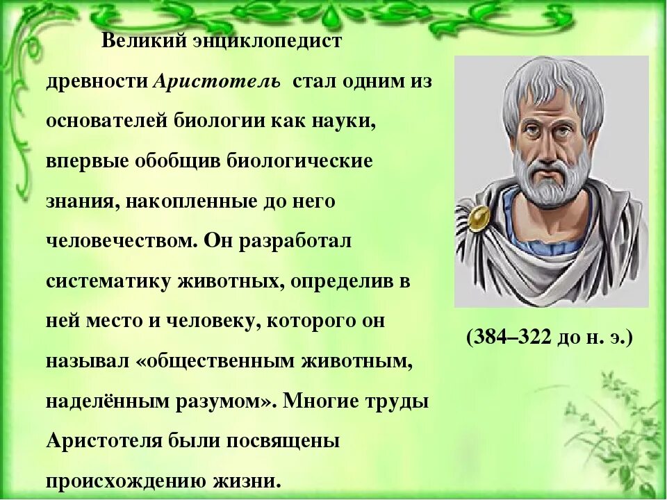 Аристотель биология 5 класс. ВКЛОАД В бмолорб Аристотеля. Вклад в биологию Аристотель Аристотель. Аристотель достижения 5 класс.