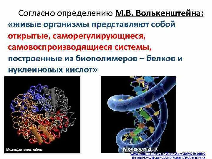 Нуклеиновые формы жизни