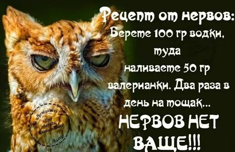 Не бережете нервы