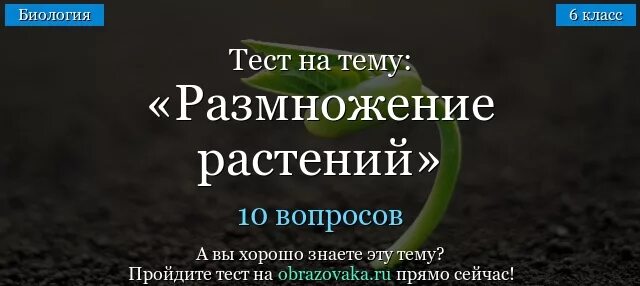 Размножение растений тест. Размножение растений 6 класс проверочная работа. Тест размножение растений 6 класс. Тест по размножению растений.