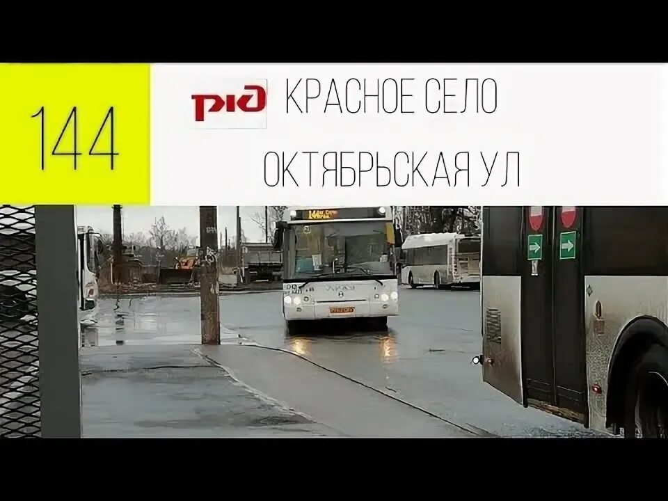 Автобус 144 красное. 144 Автобус в Красном селе. 144 Автобус маршрут. Автобус 147 СПБ.