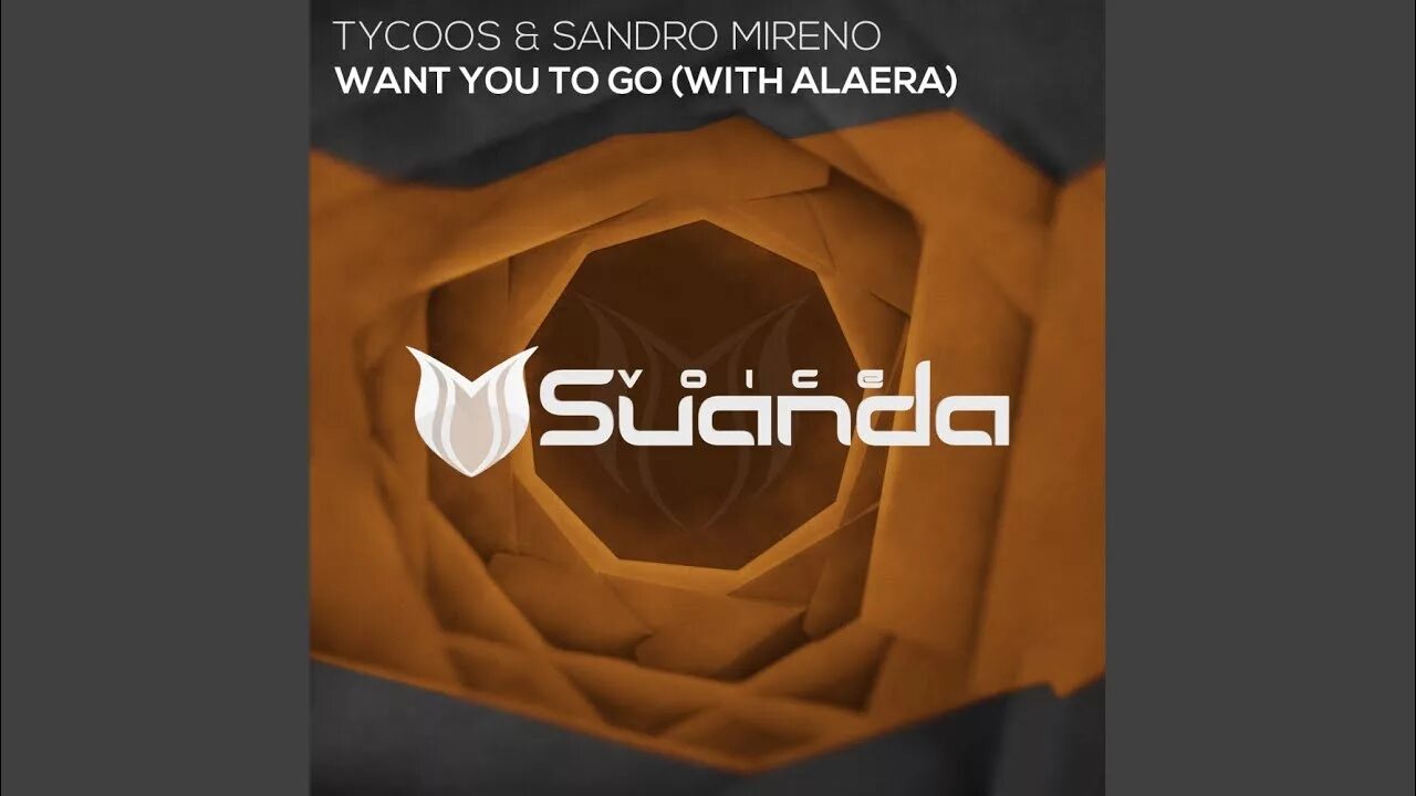 Go extended mix. Tycoos sandro. sandro mireno. tycoos and sandro mireno feat alaera want you to go. tycoos remix картинки.