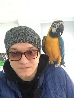 Волчков ростов