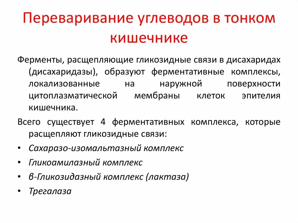 2 ферменты расщепляющие углеводы. Переваривание углеводов. Переваривание углеводов в тонком кишечнике. Расщепление углеводов ферменты. Переваривание углеводов биохимия.