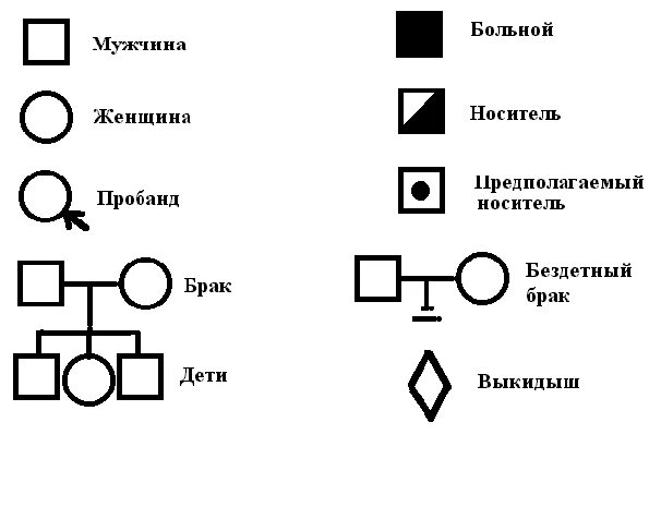 Условные обозначения генетики. Родословная генетика пробанд. Родословная генетика обозначения. Клинико генеалогический метод условные обозначения. Символы используемые при составлении родословной генетика.