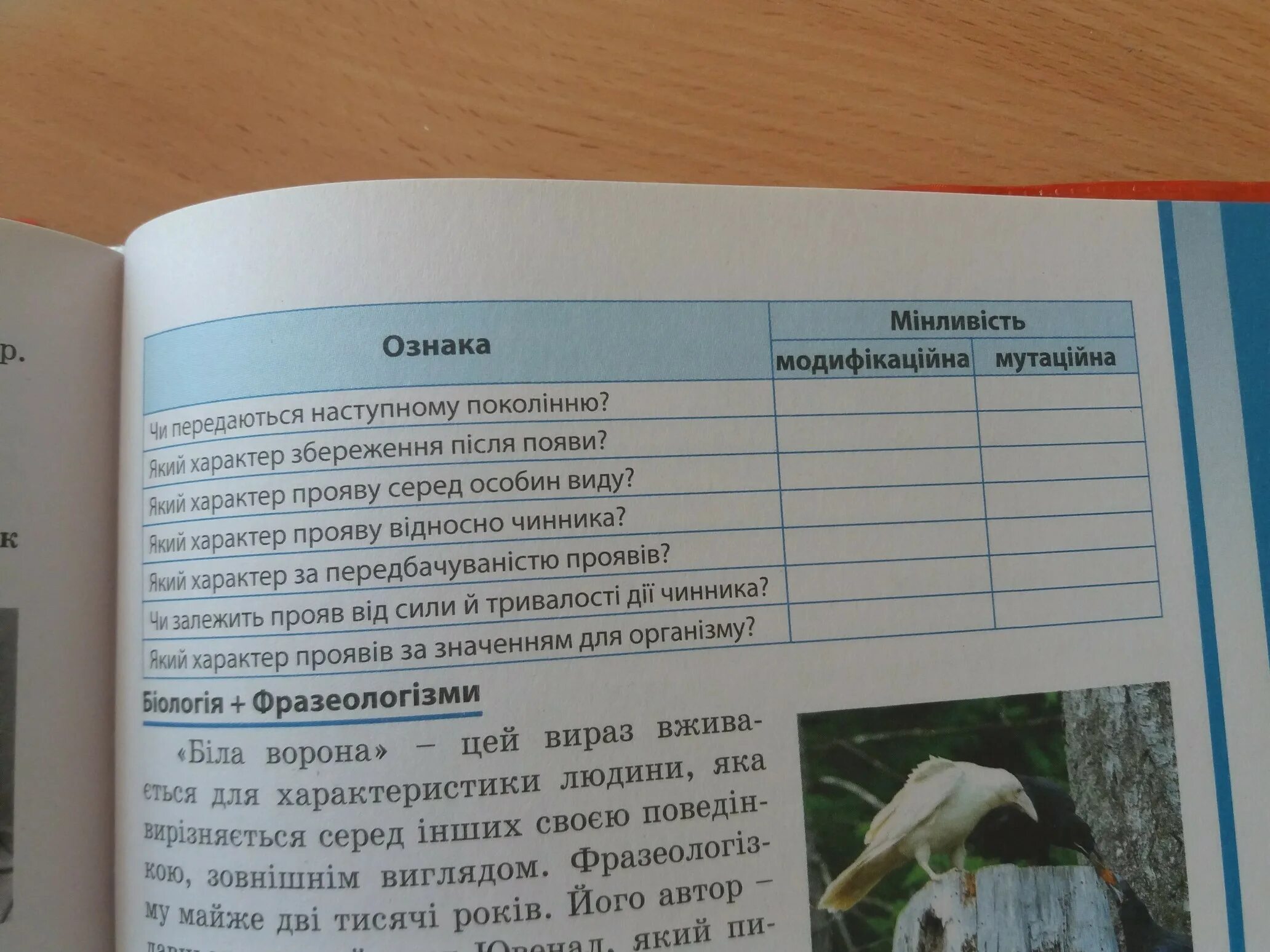 Таблица по литературе хамелеон. Таблица хамелеон литература 7 класс. Таблица по ситуациям хамелеон литература 6 класс. Хамелеон литература 7 класс тест по литературе.