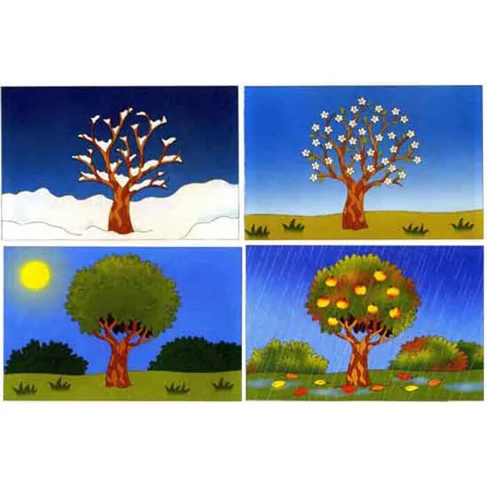 Время года расположен он на. Изображения времен года для детей. Времена года иллюстрации. Дерево в разные времена года. Пейзажи по временам года для дошкольников.